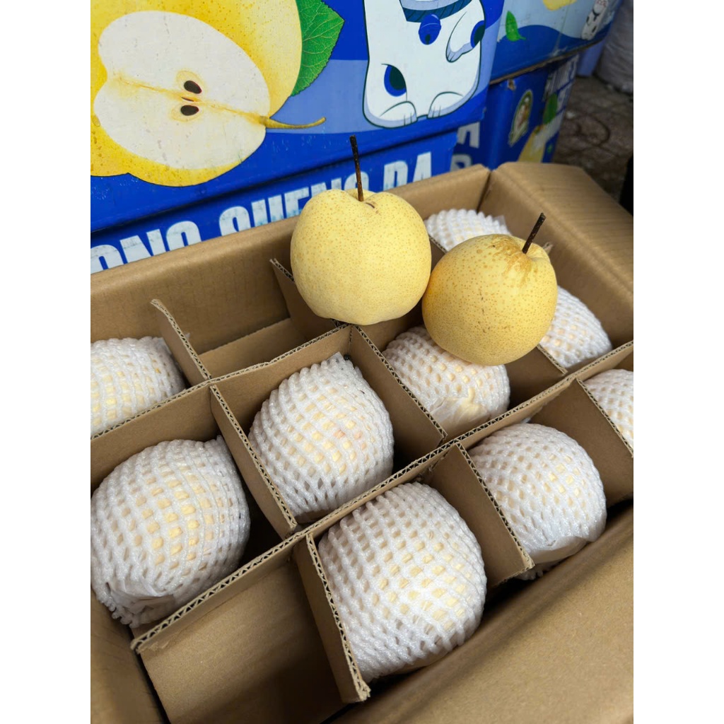 🍐 LÊ ĐƯỜNG TƯƠI NGUYÊN THÙNG 9KG CẢ BÌ– NGỌT THANH, GIÒN MỌNG TỰ NHIÊN