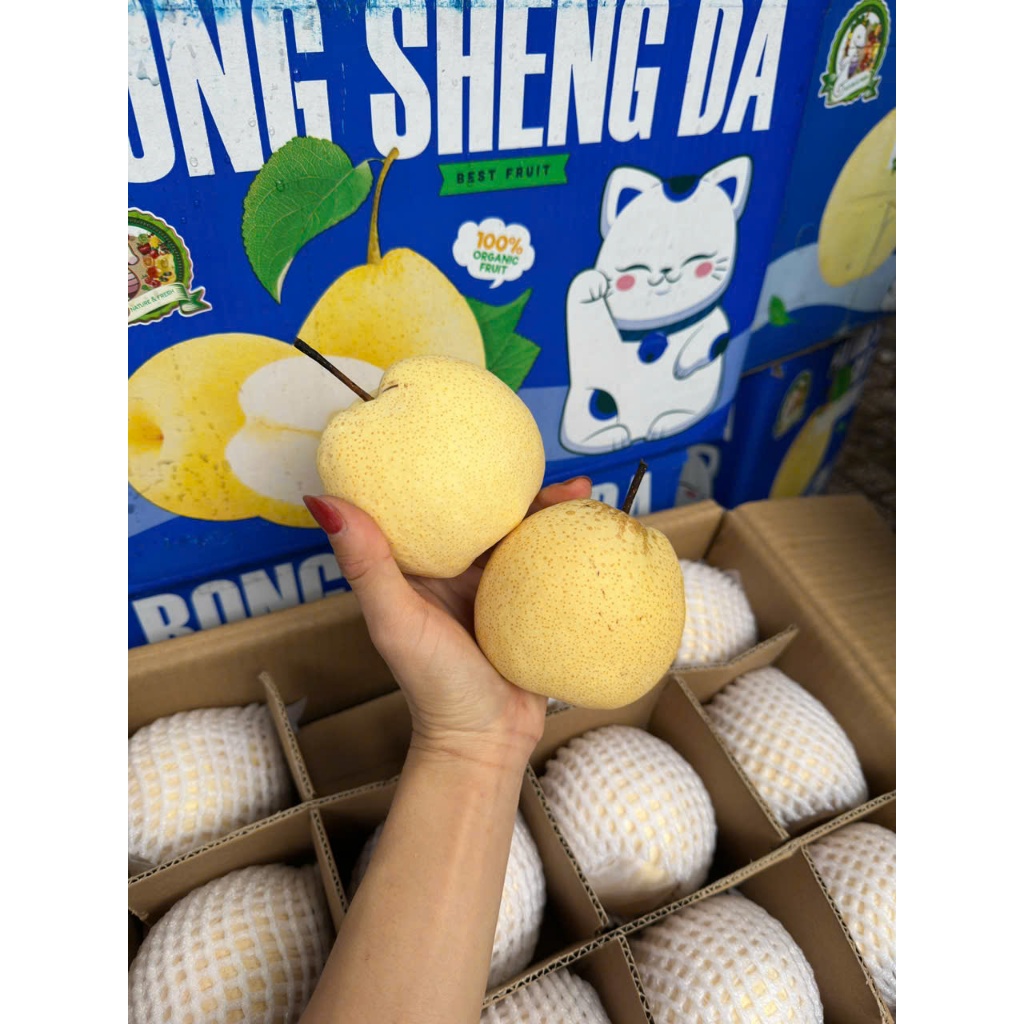 🍐 LÊ ĐƯỜNG TƯƠI NGUYÊN THÙNG 9KG CẢ BÌ– NGỌT THANH, GIÒN MỌNG TỰ NHIÊN