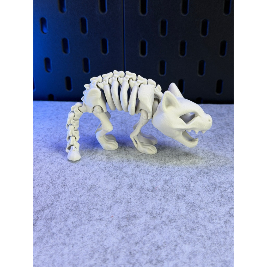 skeleton model - đồ chơi skeleton