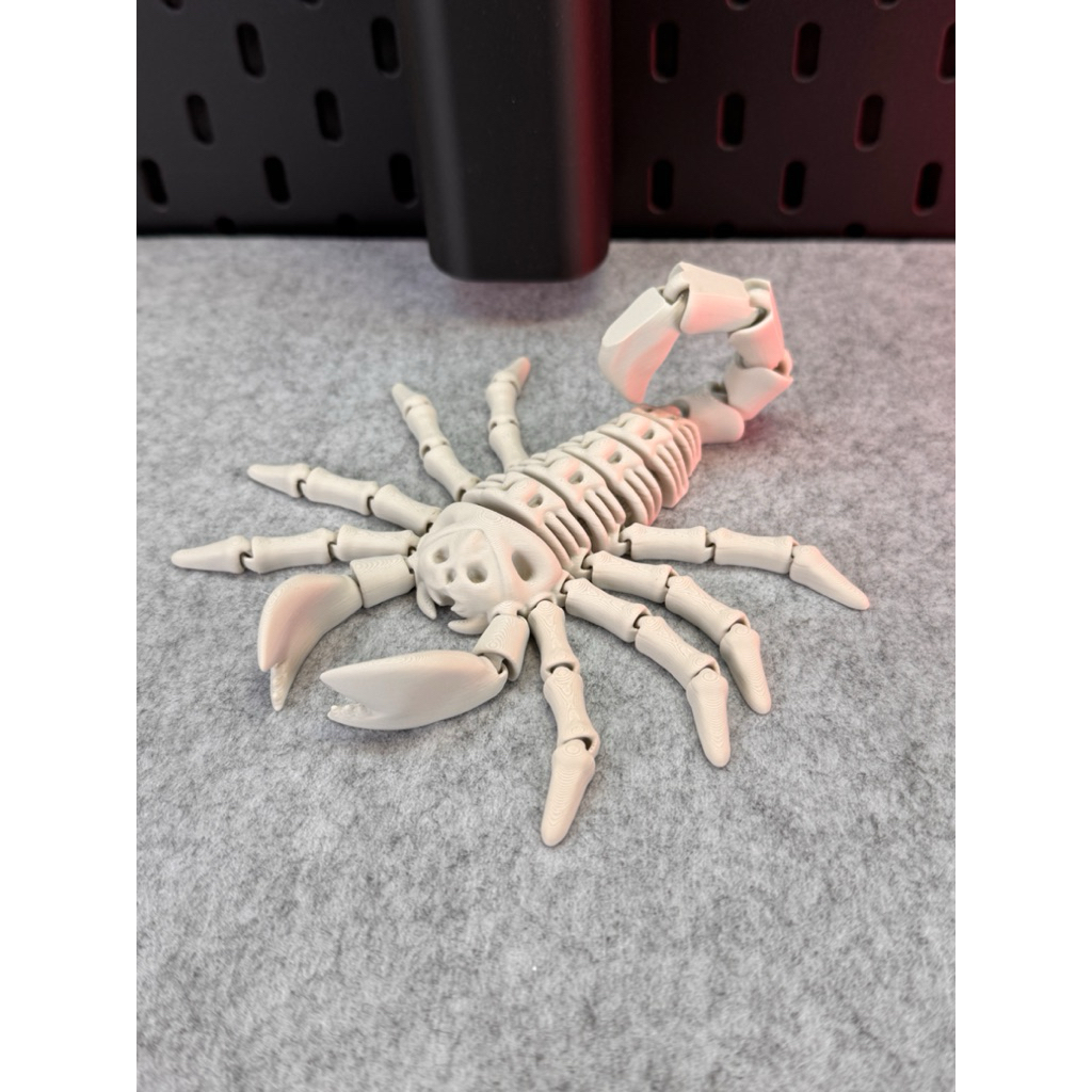skeleton model - đồ chơi skeleton