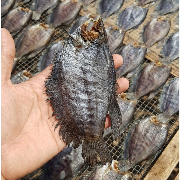 Khô Cá Sặc Bổi Nhỏ – Sặc Bổi Khô Phơi Nắng – Chiên Giòn, Nướng, Làm Món Nhậu – Gói Hút Chân Không
