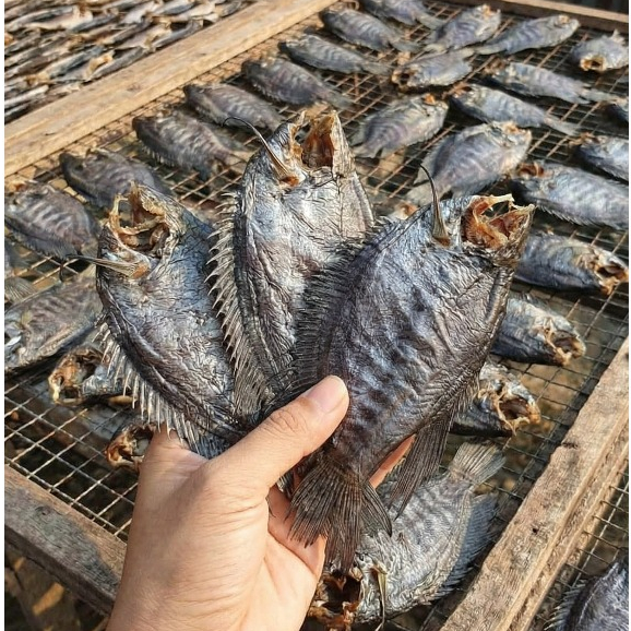Khô Cá Sặc Bổi Nhỏ – Sặc Bổi Khô Phơi Nắng – Chiên Giòn, Nướng, Làm Món Nhậu – Gói Hút Chân Không