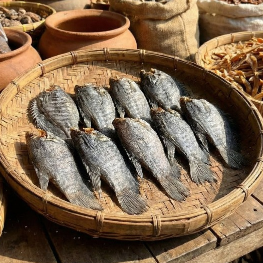 Khô Cá Sặc Bổi Nhỏ – Sặc Bổi Khô Phơi Nắng – Chiên Giòn, Nướng, Làm Món Nhậu – Gói Hút Chân Không