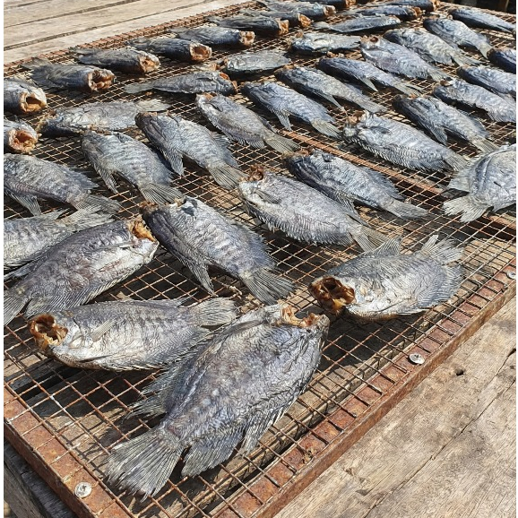 Khô Cá Sặc Bổi Nhỏ – Sặc Bổi Khô Phơi Nắng – Chiên Giòn, Nướng, Làm Món Nhậu – Gói Hút Chân Không