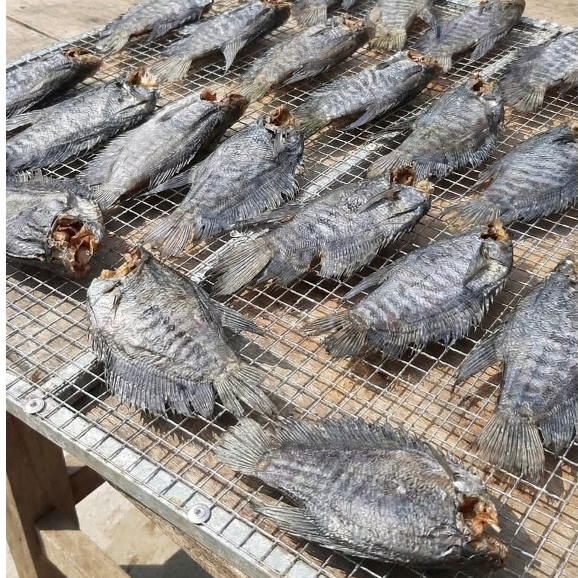 Khô Cá Sặc Bổi Nhỏ – Sặc Bổi Khô Phơi Nắng – Chiên Giòn, Nướng, Làm Món Nhậu – Gói Hút Chân Không