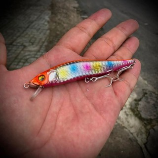 Mồi MINOW HR V98F chuyên câu lure cá chẽm măng nhồng , mú ngựa nam Hoàng Đế và nhiều loại cá khác 9.8cm/10.5g Hộp 5 Con