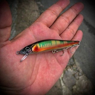 Mồi MINOW HR V98F chuyên câu lure cá chẽm măng nhồng , mú ngựa nam Hoàng Đế và nhiều loại cá khác 9.8cm/10.5g Hộp 5 Con