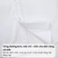 Áo sơ mi trắng cộc tay nam Phan Nguyễn, chất liệu bamboo mềm, nhẹ, mát, form slim fit SMC.575