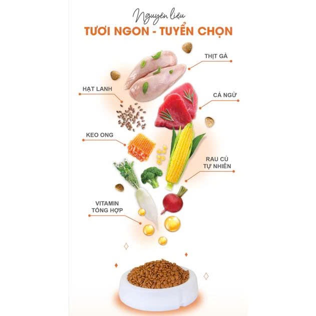 [Sẵn - Hỏa Tốc] Thức Ăn Cho Mèo Catsrang Bổ Sung Omega 3 6 9 Tốt Cho Da Lông 1.5kg, 1kg