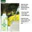 Nước Mật Hoa Dừa Tươi Sokfarm 250ml/ 330ml/ 1000ml - Xanhsam Natural & Organic
