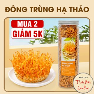 Đông trùng hạ thảo 100g, trà đông trùng bồi bổ sức khỏe, nấu lẩu, canh, hầm gà thơm ngon