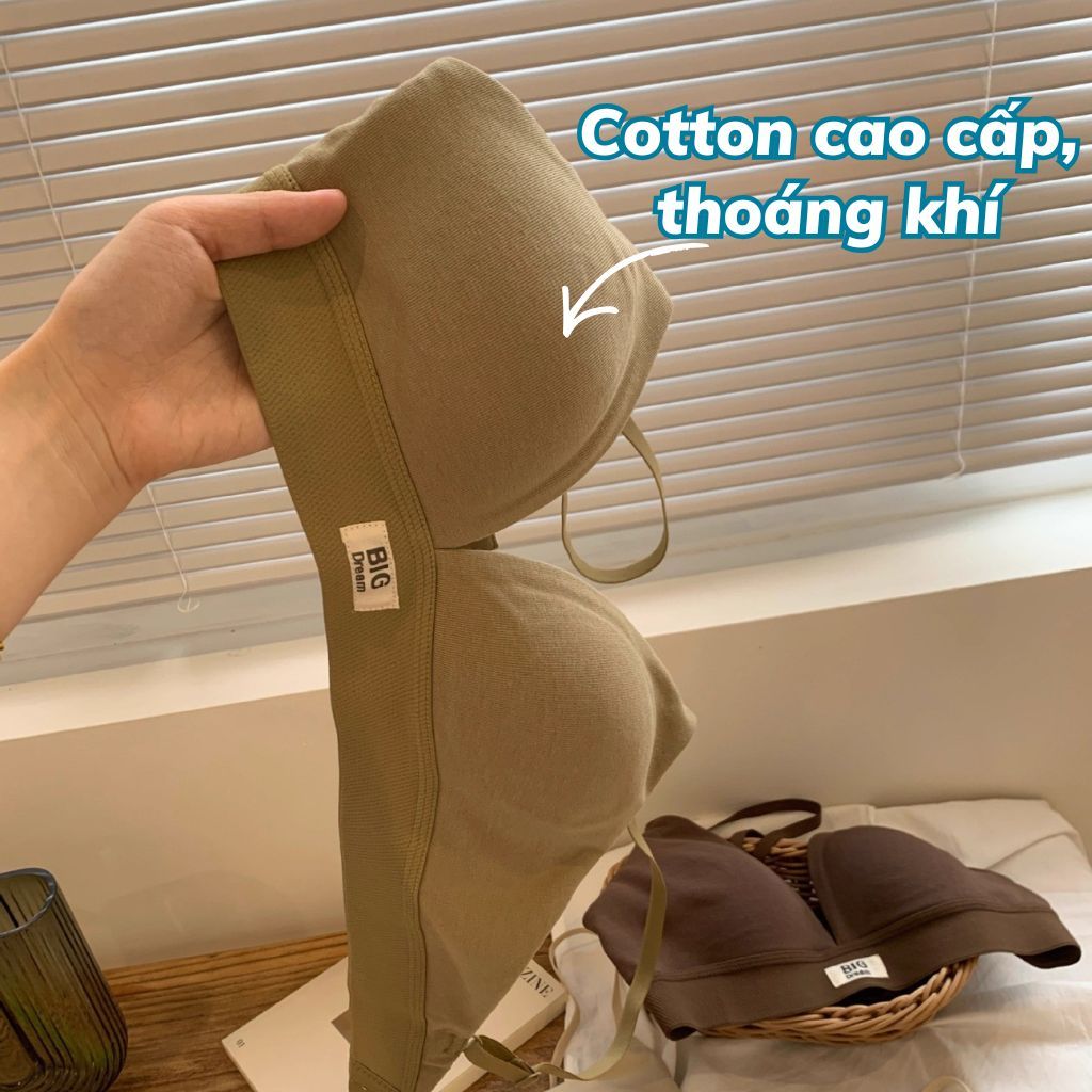 Áo ngực nữ không gọng cotton cao cấp thoáng mát đệm mút tam giác Châu Âu gợi cảm sexy LANIXA A310