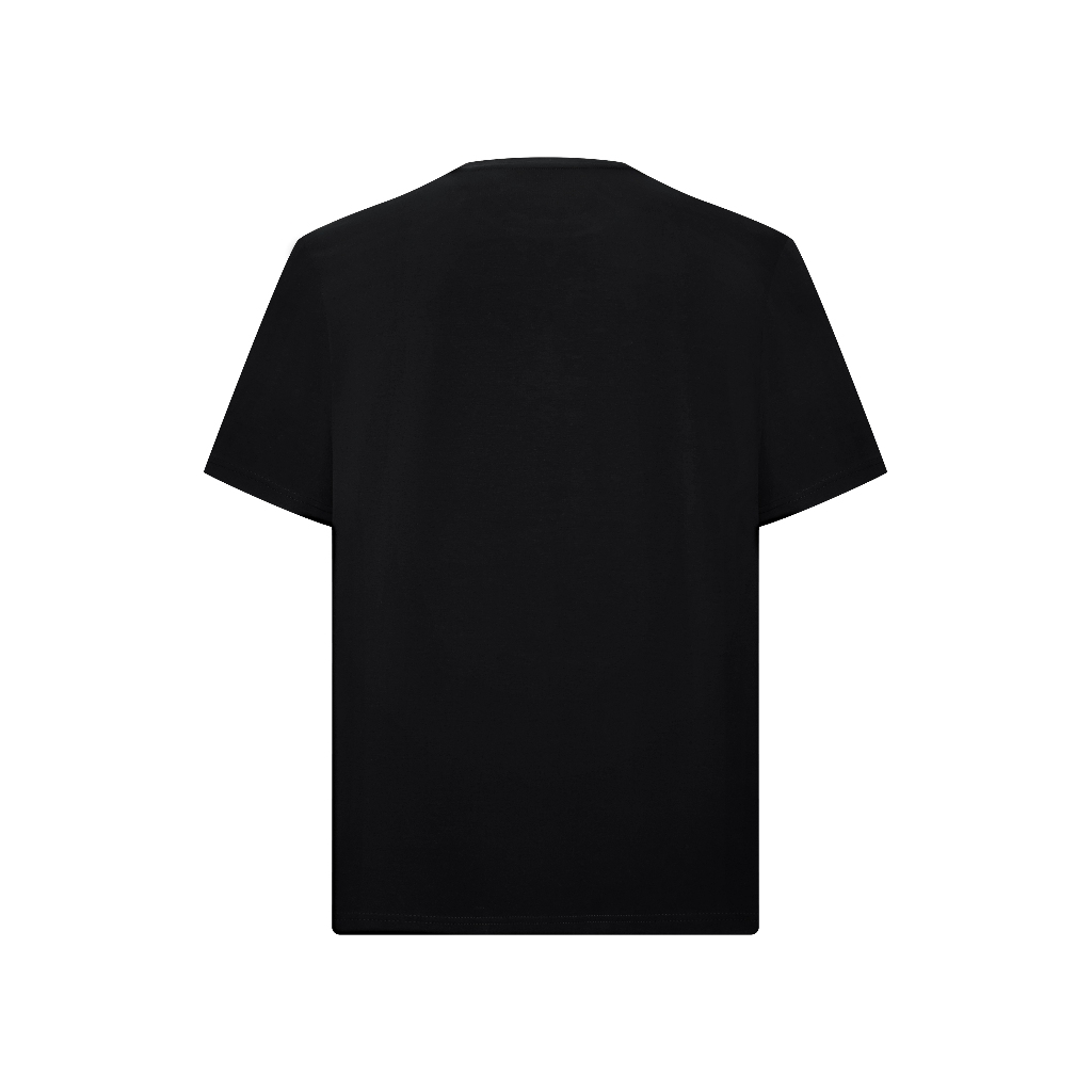 Áo thun T-Shirt cổ tròn VIETTIEN SMART CASUAL vải Cotton form REGULAR VT00000711