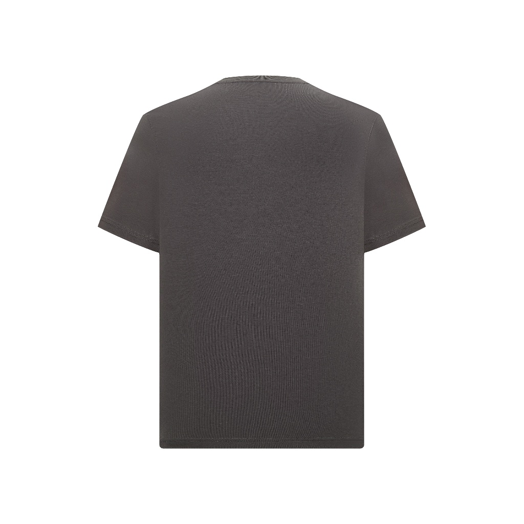 Áo thun T-Shirt cổ tròn VIETTIEN SMART CASUAL vải Cotton form REGULAR VT00000711