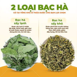 Lá bạc hà sấy lạnh 100g, trà bạc hà sạch thơm giúp thơm miệng, giảm căng thẳng, xông hơi giải cảm