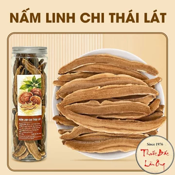 Nấm linh chi thái lát 100g, linh chi rừng khô miếng đẹp, thơm, dùng pha trà, hầm canh, tốt cho sức khỏe