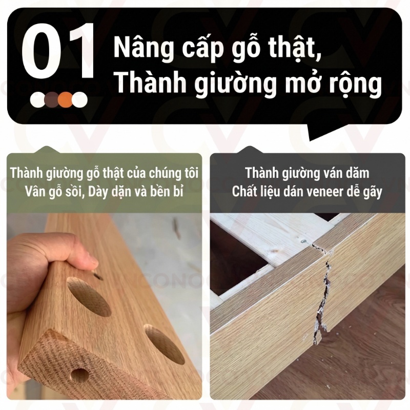 CONOCO Giường Gỗ Sồi Tự Nhiên 1m6x2m Giường Ngủ Cao Cấp Nhập Khẩu FAS Chắc Chắn Bền Đẹp