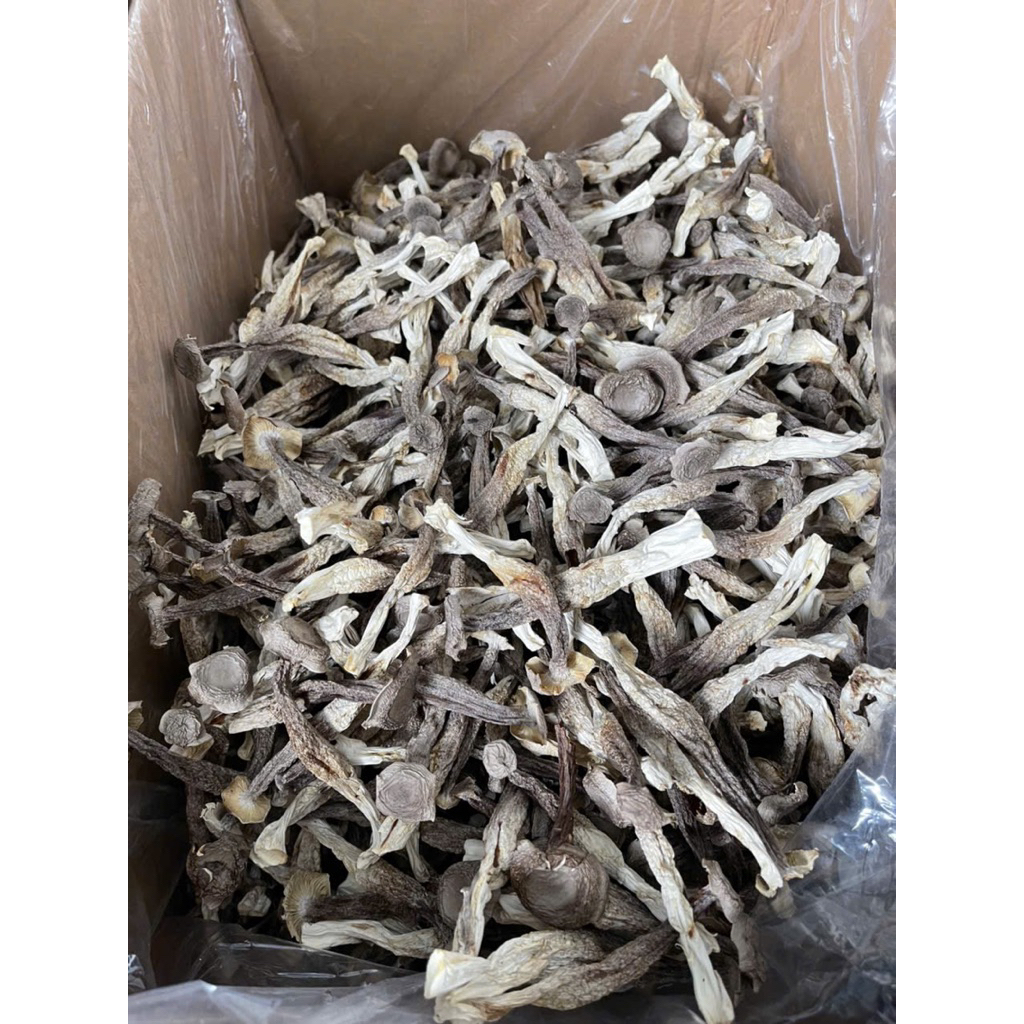Nấm Lộc Nhung Khô (Nấm Nhung Hươu) Hàng Chuẩn Chế Biến Các Món Ăn Bổ Dưỡng