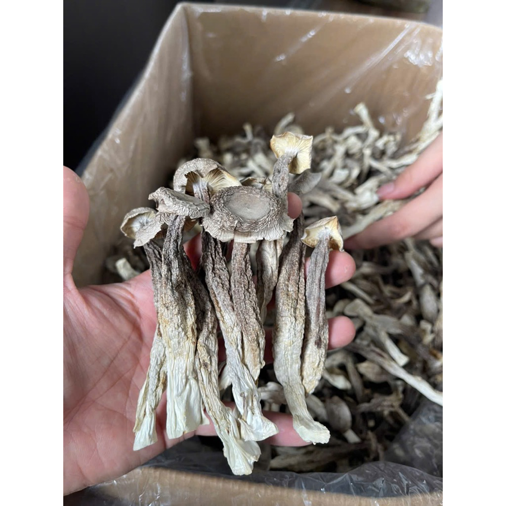 Nấm Lộc Nhung Khô (Nấm Nhung Hươu) Hàng Chuẩn Chế Biến Các Món Ăn Bổ Dưỡng