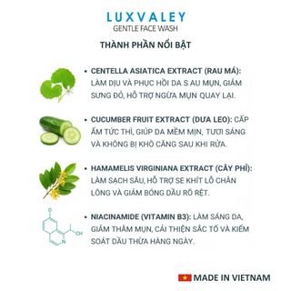 Sữa rửa mặt Luxvaley dành cho học sinh da mụn tuổi dậy thì