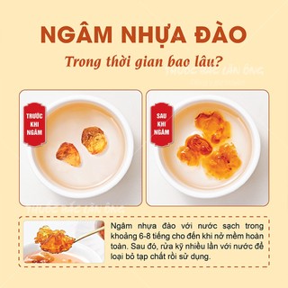 Nhựa đào Vân Nam 500g, lệ đào, dai, giòn, nguyên liệu nấu chè dưỡng nhan - Lãn Ông