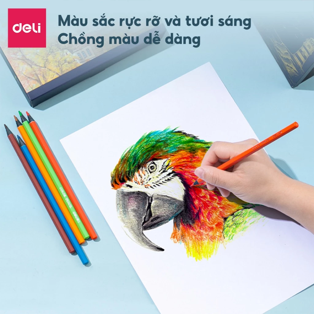 Bút Chì Màu Gốc Dầu Deli 36/72 Màu Lõi Chì Đen Cao Cấp Màu Lên Đậm Mịn Độ Che Phủ Cao Vẽ Thiết Kế Ph