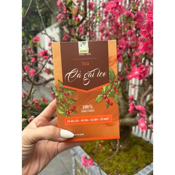 01 hộp Trà 30 gói Trà Cà Gai Leo xạ đen mát gan, thanh lọc cơ thể thơm ngon