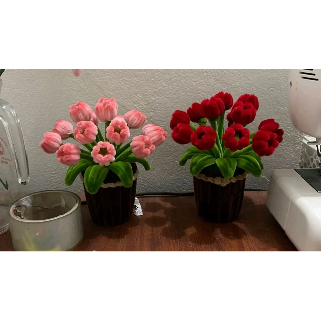 Chậu Hoa Tulip Kẽm Nhung Mini , Cành Tulip Mini Kẽm Nhung Siêu Xinh