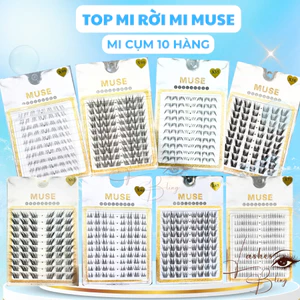 Top Mi Rời Muse, Mi cụm 10 hàng, Lông Mi Giả Cụm Cao Cấp (Full mã) - Lashes Bling