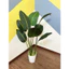 Cây chuối giả - cây giả 1m2 decor - cây chuối dẻ quạt