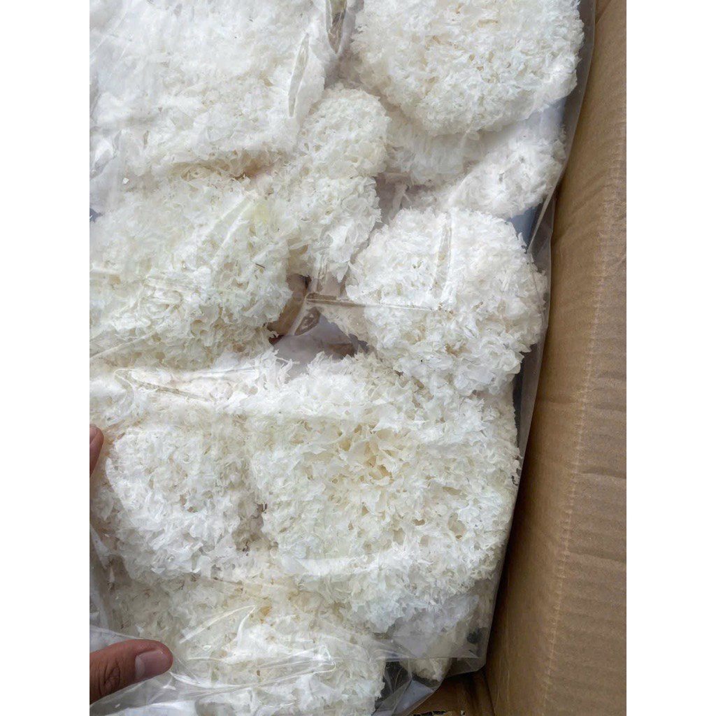 Nấm Tuyết (Ngân Nhĩ) Nguyên Bông Không Vụn Nát, Dùng Nấu Chè, Làm Súp Cực Kỳ Ngon