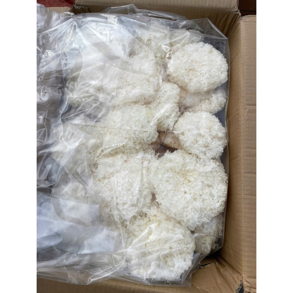 Nấm Tuyết (Ngân Nhĩ) Nguyên Bông Không Vụn Nát, Dùng Nấu Chè, Làm Súp Cực Kỳ Ngon
