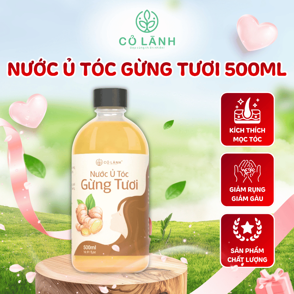 (HOT) Nước Cốt Gừng Tươi Ủ Tóc Cỏ Lành 500ml - Dùng Kích Mọc Tóc Giảm Rụng Tóc Dày Tóc Chắc Khoẻ Mềm Mượt