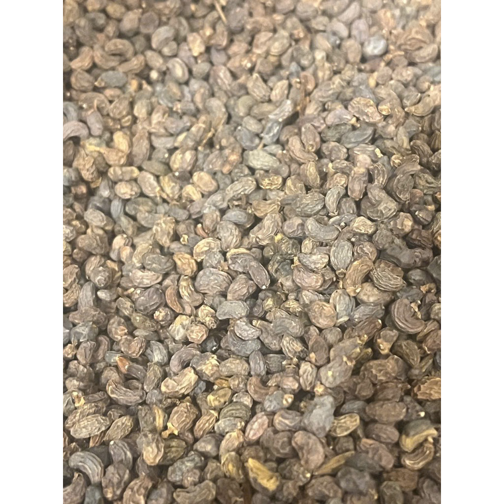 500GR Nữ Trinh Tử ( Khô, Sạch ) Hàng Loại 1