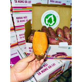 Mua 4 Thùng Tặng 1 Thùng| Khoai Mật Tà Nung Đà Lạt Quý Trọng 3kg – Khoai Lang Mật Nướng Mật Ngọt Tự Nhiên