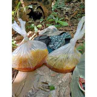 Mật ong rừng nguyên sáp 1kg