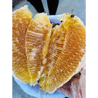 Mật ong rừng nguyên sáp 1kg