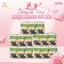 SET 15 Gói Rong Biển Khô Hàn Quốc Ăn Vặt Vị Truyền Thống, Rong Biển Ăn Liền Nhập Khẩu Hàn Quốc 180g/9 gói
