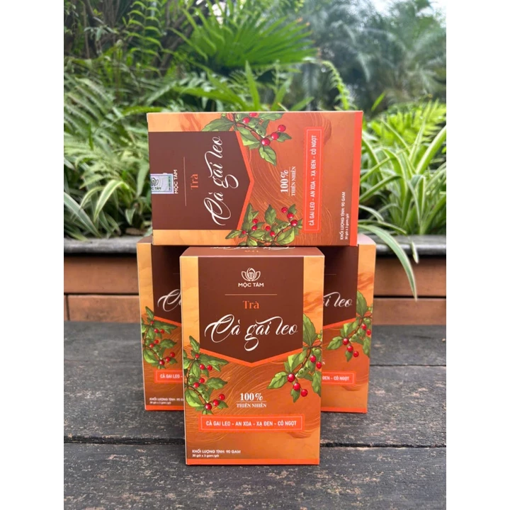 Combo 05 Hộp Trà Cà Gai Leo Rừng,Trà Cà Gai Leo Rừng,Hộp 30 túi lọc cà gai leo trà tốt sức khoẻ,có hoá đơn Vat