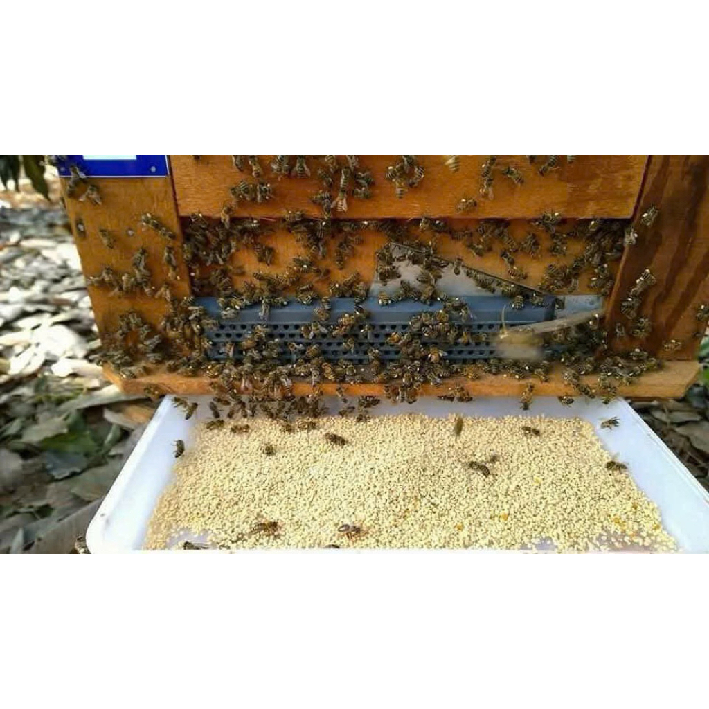 Mật ong nguyên chất (mật hoa cà phê) loại 0,5 lít và 1 lít