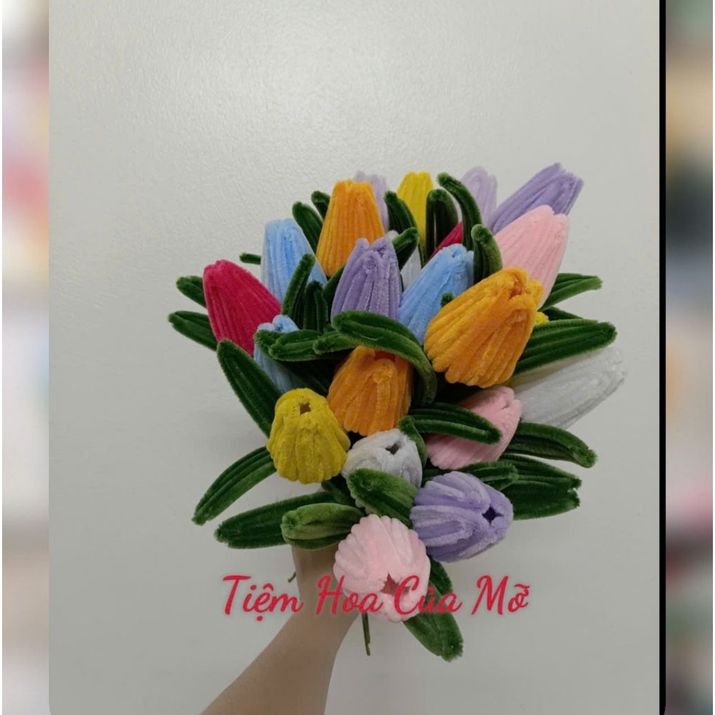 Hoa Tulip Kẽm Nhung Siêu Rẻ, Quà Tặng Siêu Đẹp