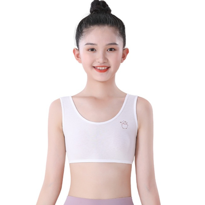 Áo lá bé gái học sinh cotton thấm hút thoáng mát kiểu dáng basic in thú cute đáng yêu LANIXA B341