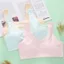 Áo lá bé gái tuổi dậy thì cotton kháng khuẩn thoáng khí kiểu basic lưng dáng chui LANIXA B508 -CB