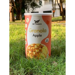 Granola Sữa Chua BEFRESCO – Ngũ Cốc Yến Mạch Mix Hạt Và Trái Cây, Ngũ Cốc Ăn Sáng