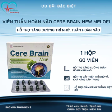 Viên Tuần Hoàn Não Cere Brain New Melofi Hộp 60 Viên – Hỗ Trợ Tăng Cường Trí Nhớ, Tuần Hoàn Não