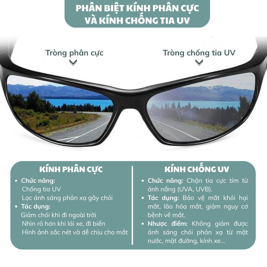 Kính Râm Oval Unisex Gọng Dày INNI 20302 Kính Chống Chói Phong Cách Cool Ngầu Chống UV Bảo Vệ Mắt