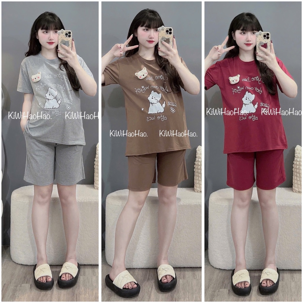 Bộ bầu- bộ sau sinh-BỘ ĐÙI COTTONG HÌNH CHÓ GẤU NỔI- 5 màu , quần có chun chỉnh