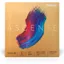 【Japan Quality】D'Addario Ascente E Violin String, A311, 1/2 meter, Medium Tension (Official Japanese Product)