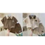 COMBO 3 Bộ Đồ Cộc POLO Bé Trai Cho Bé Từ 10-46kg chất vải tổ ong Cotton Dày Đẹp.