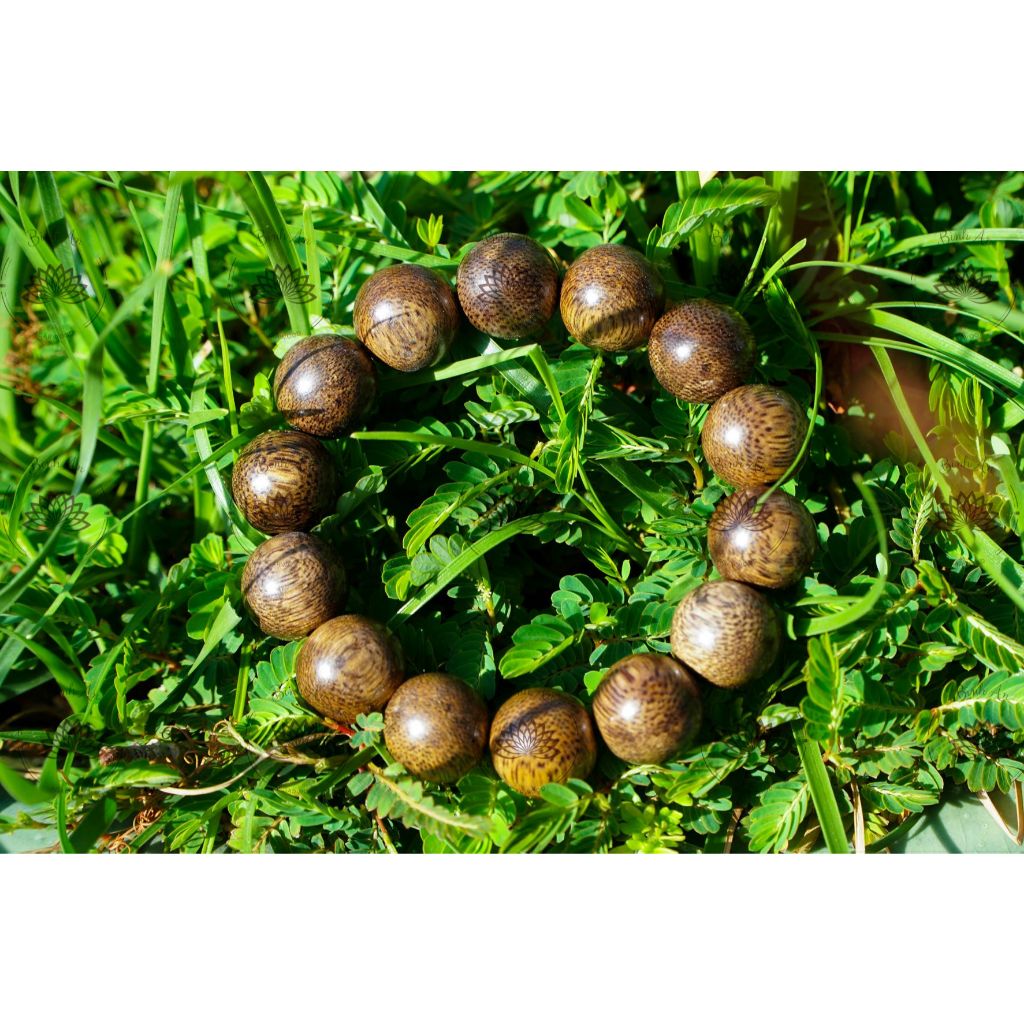 Vietnamese Agarwood Bracelet, Handcrafted Aromatic Wood Jewelry Inspired by Quang Nam Tradition